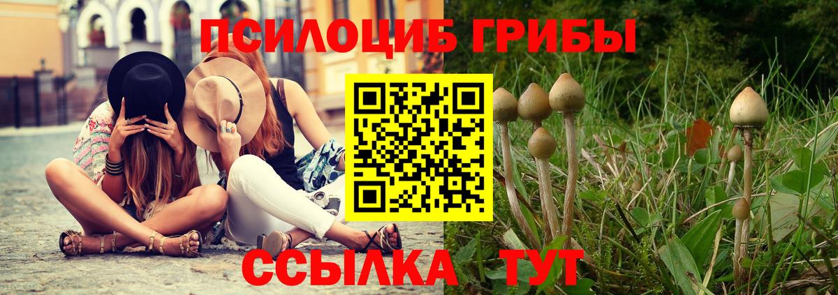 Галлюциногенные грибы Cubensis Нурлат