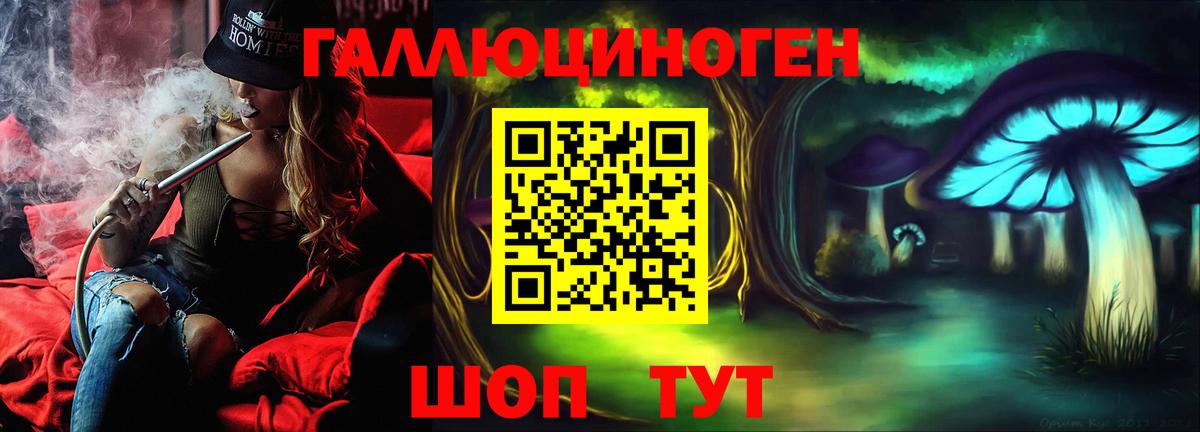 Псилоцибиновые грибы GOLDEN TEACHER  Вход с VPN  Нурлат 